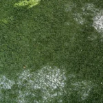artificial turf with odor treatment solution
