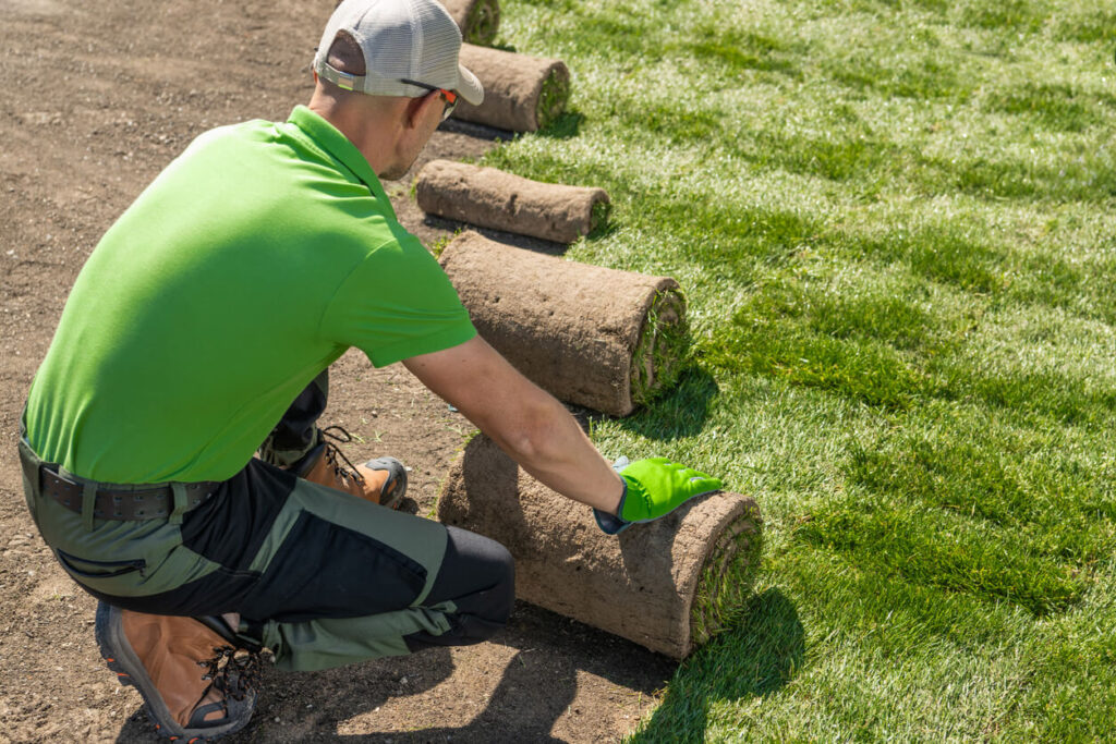 Man Installing Grass Turfs Inside Backyard Garden